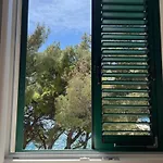 Sun Fun אומיס