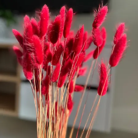 Sun Fun アパート